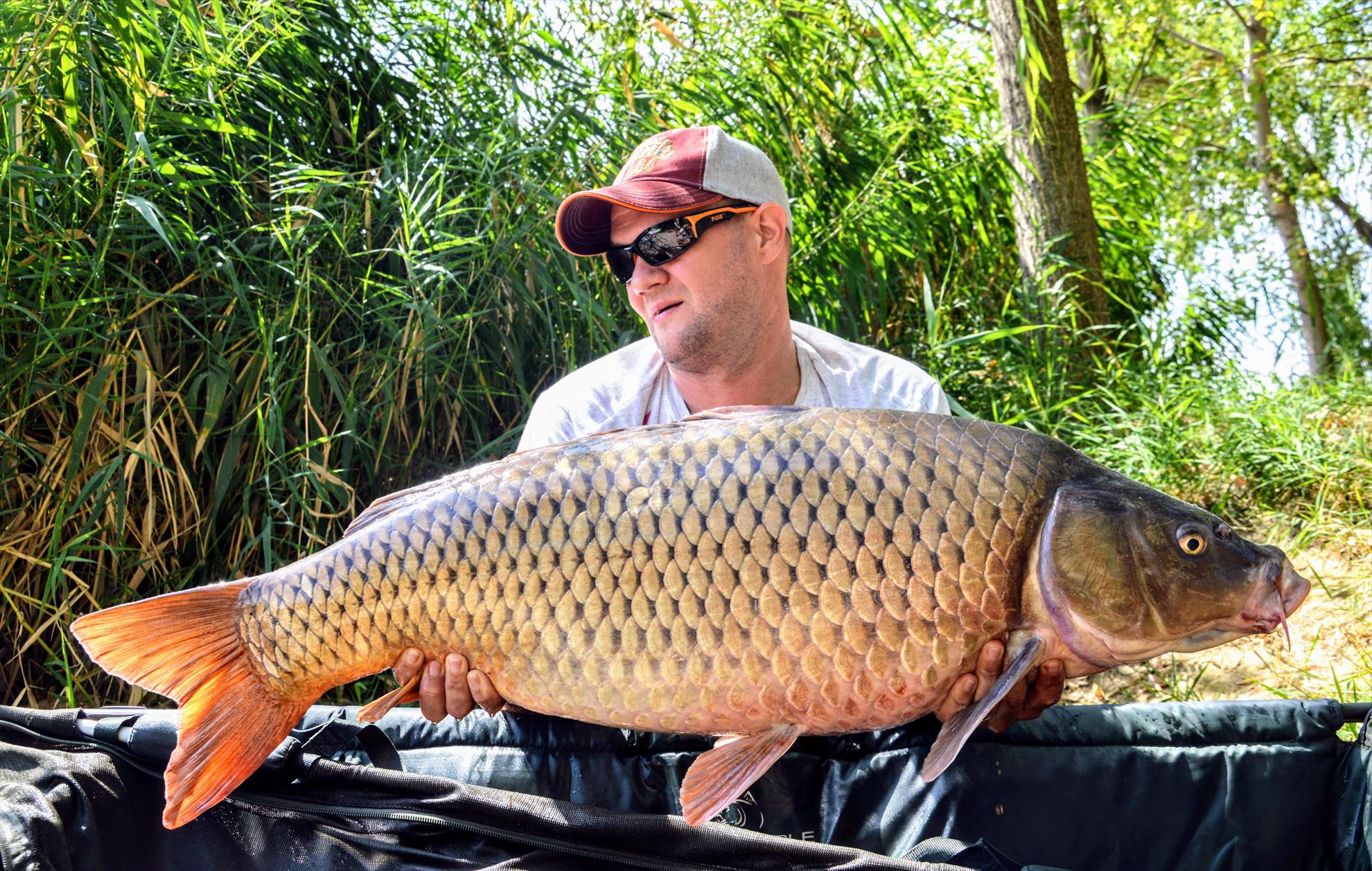 Cine se sperie mai tare de canicula? Crapii sau pescarii?